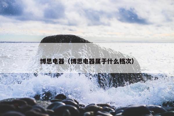 博思电器（博思电器属于什么档次）