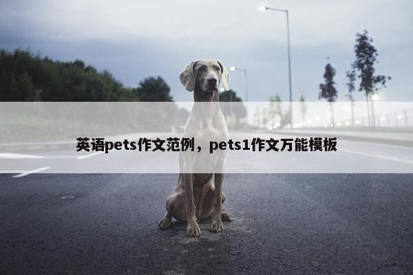 英语pets作文范例，pets1作文万能模板