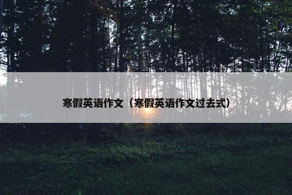 寒假英语作文（寒假英语作文过去式）
