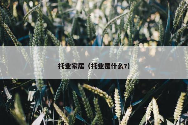 托业家居（托业是什么?）