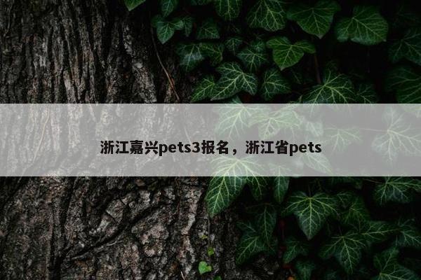 浙江嘉兴pets3报名，浙江省pets