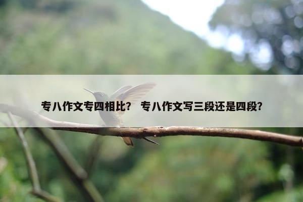 专八作文专四相比？ 专八作文写三段还是四段？