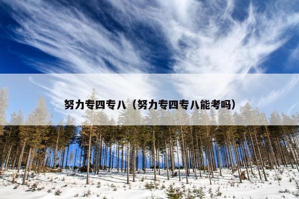努力专四专八（努力专四专八能考吗）