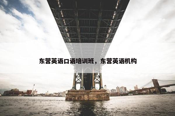 东营英语口语培训班，东营英语机构