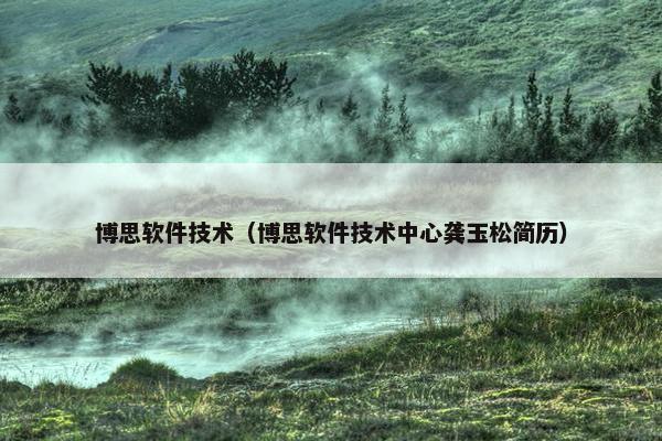 博思软件技术（博思软件技术中心龚玉松简历）