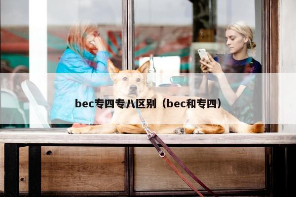 bec专四专八区别（bec和专四）