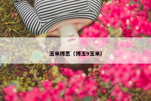玉米博思（博玉9玉米）