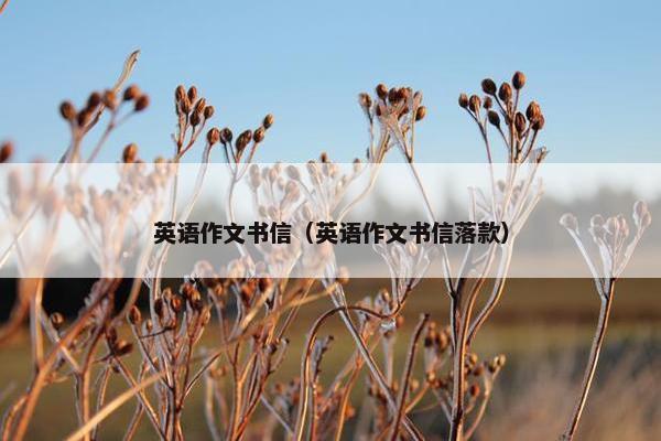 英语作文书信（英语作文书信落款）
