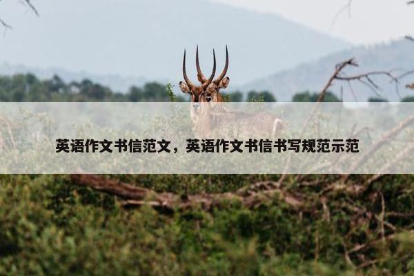 英语作文书信范文，英语作文书信书写规范示范