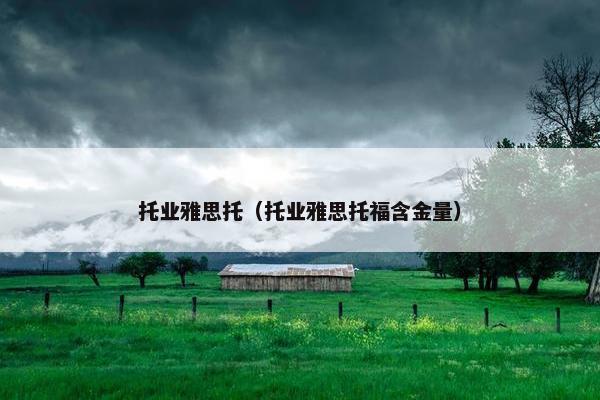 托业雅思托（托业雅思托福含金量）