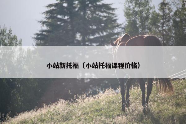 小站新托福（小站托福课程价格）