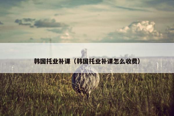 韩国托业补课（韩国托业补课怎么收费）