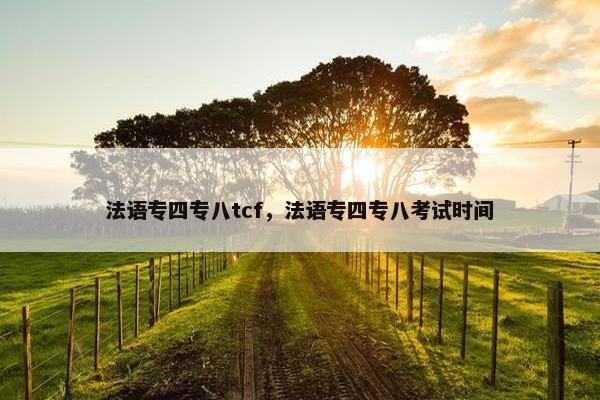 法语专四专八tcf，法语专四专八考试时间