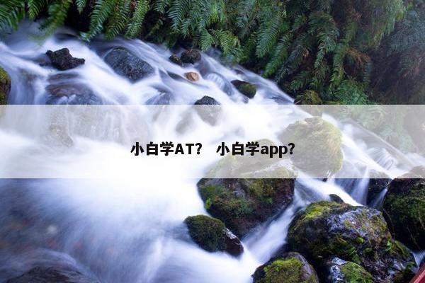 小白学AT？ 小白学app？