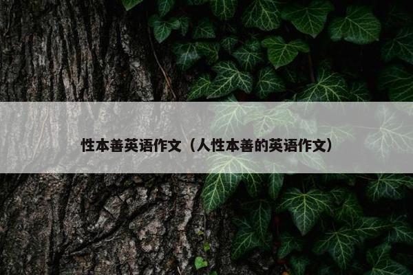 性本善英语作文（人性本善的英语作文）
