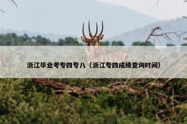 浙江毕业考专四专八（浙江专四成绩查询时间）
