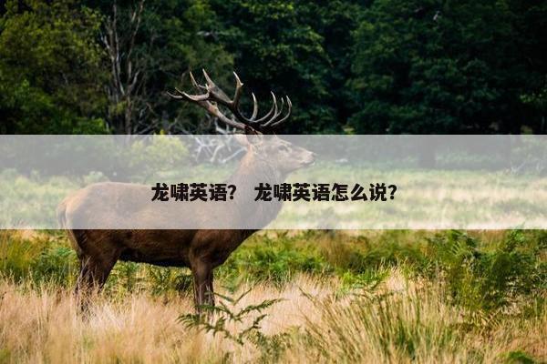 龙啸英语？ 龙啸英语怎么说？