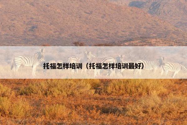 托福怎样培训（托福怎样培训最好）
