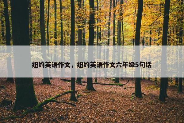 纽约英语作文，纽约英语作文六年级5句话