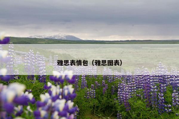 雅思表情包（雅思图表）