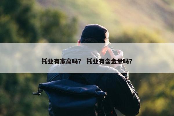 托业有家高吗？ 托业有含金量吗？