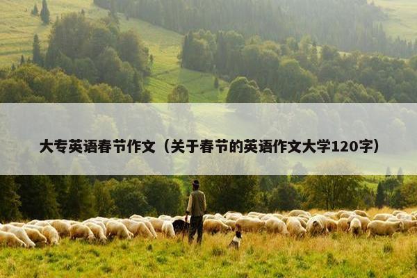 大专英语春节作文（关于春节的英语作文大学120字）