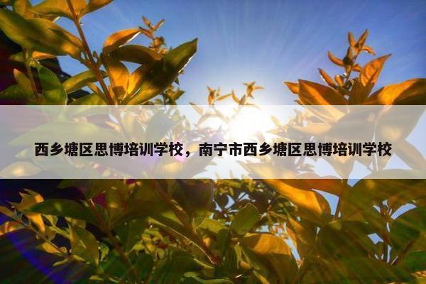 西乡塘区思博培训学校，南宁市西乡塘区思博培训学校