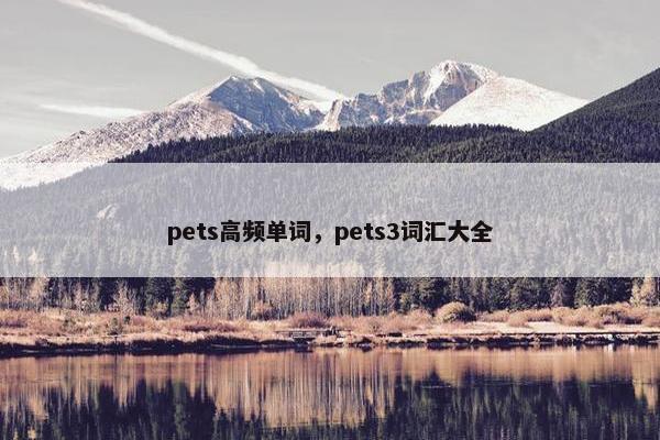 pets高频单词，pets3词汇大全
