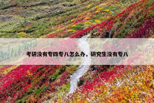 考研没有专四专八怎么办，研究生没有专八