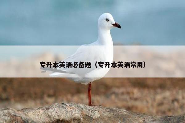 专升本英语必备题（专升本英语常用）