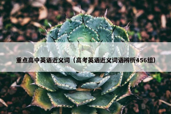 重点高中英语近义词（高考英语近义词语辨析456组）