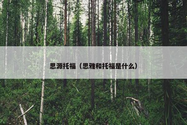 思源托福（思雅和托福是什么）