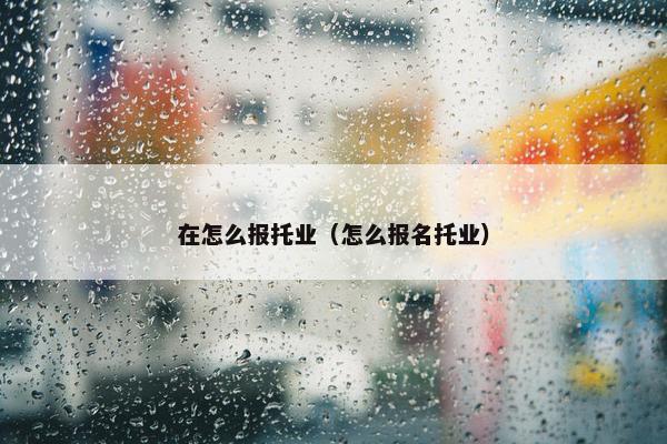 在怎么报托业（怎么报名托业）