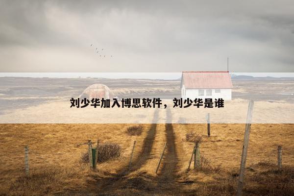 刘少华加入博思软件，刘少华是谁