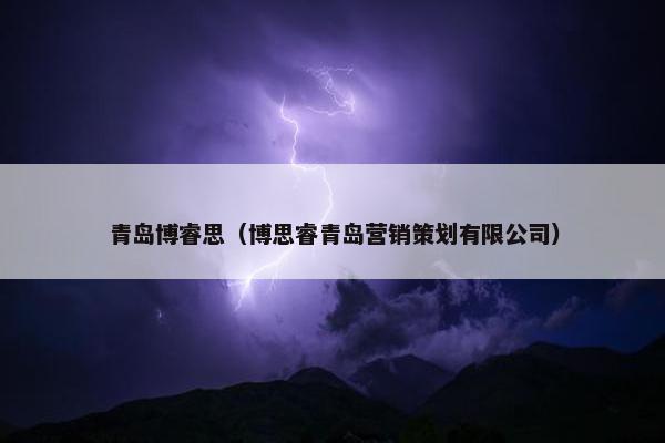 青岛博睿思（博思睿青岛营销策划有限公司）