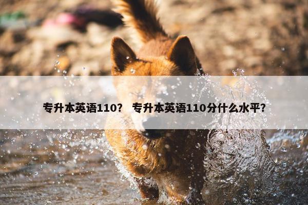 专升本英语110？ 专升本英语110分什么水平？