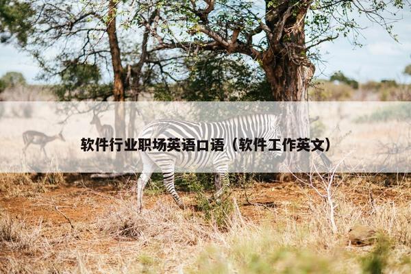 软件行业职场英语口语（软件工作英文）