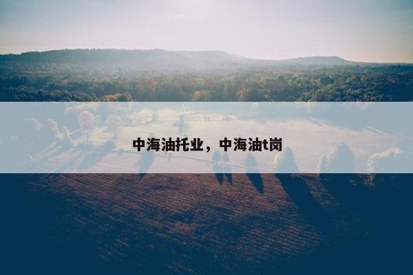 中海油托业，中海油t岗