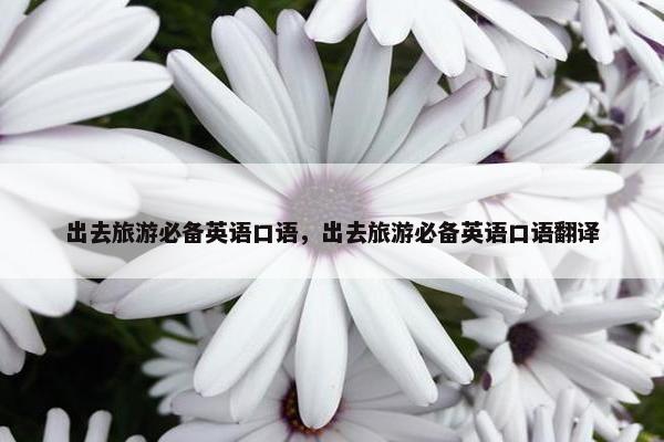 出去旅游必备英语口语，出去旅游必备英语口语翻译
