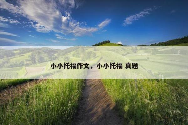 小小托福作文，小小托福 真题