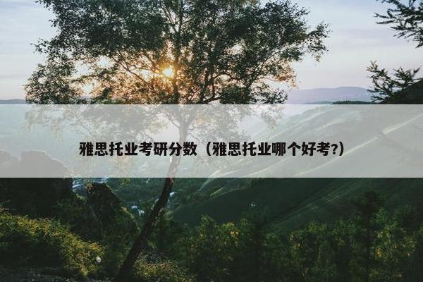 雅思托业考研分数（雅思托业哪个好考?）