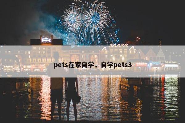 pets在家自学，自学pets3