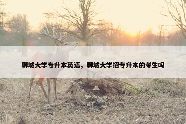 聊城大学专升本英语，聊城大学招专升本的考生吗