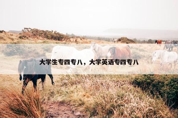 大学生专四专八，大学英语专四专八