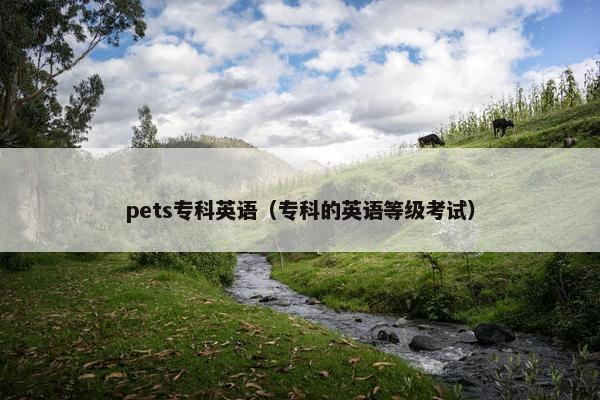 pets专科英语（专科的英语等级考试）