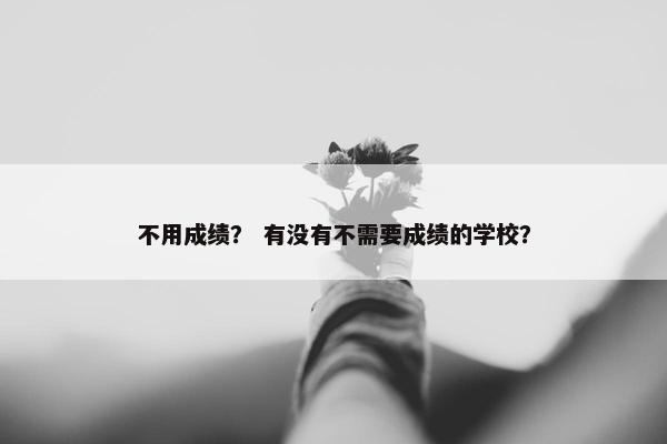 不用成绩？ 有没有不需要成绩的学校？