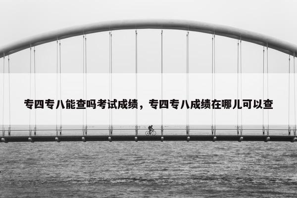 专四专八能查吗考试成绩，专四专八成绩在哪儿可以查