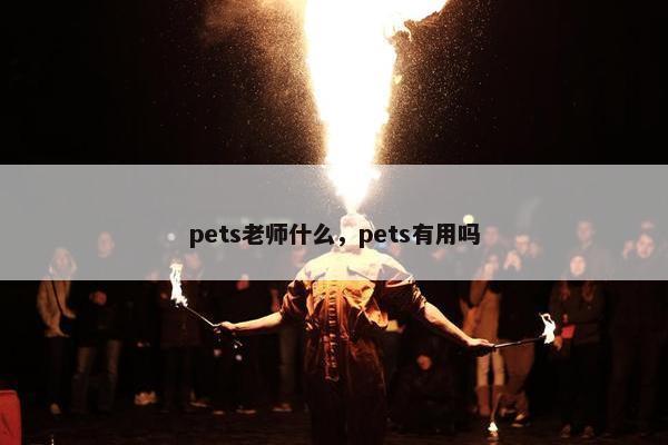 pets老师什么，pets有用吗