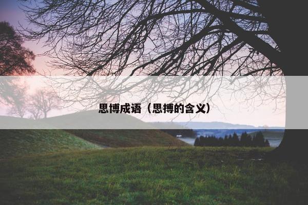 思博成语（思搏的含义）