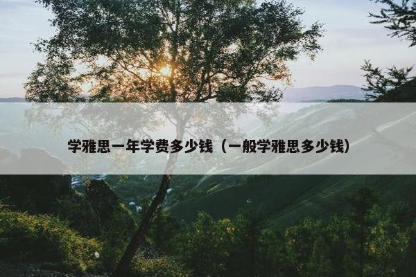 学雅思一年学费多少钱（一般学雅思多少钱）
